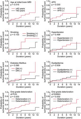 White Matter Hyperintensities as a Risk Factor for Ischemic Stroke in Patients With Systemic Lupus Erythematosus